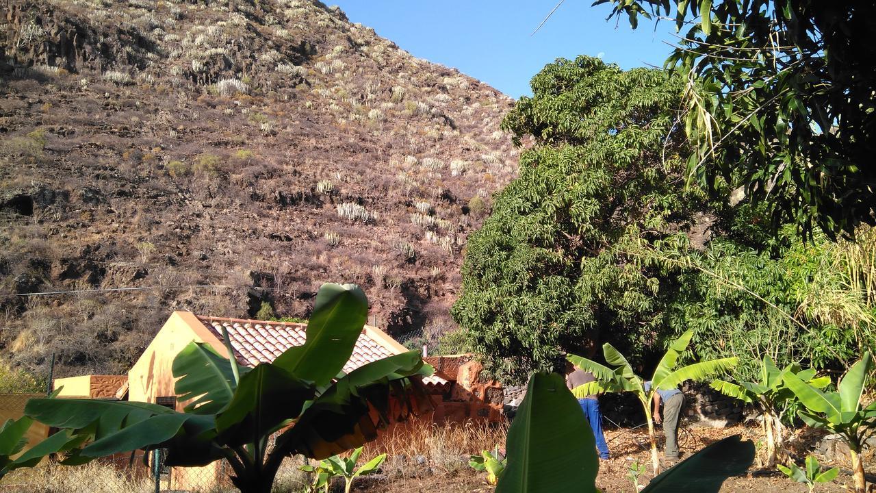 Casa Dos Barrancos ξενώνας Σάντα Κρουζ Τενερίφης Εξωτερικό φωτογραφία
